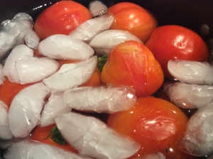 Tomatoes go into the ice bath